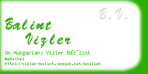 balint vizler business card